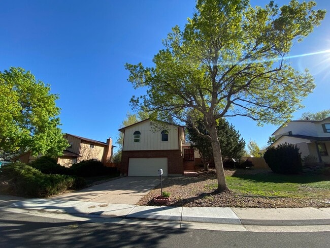Spacious 4-Bed Rental in Aurora Featuring High Ceilings and Large Yard - Spacious 4-Bed Rental in Aurora Featuring High Ceilings and Large Yard House