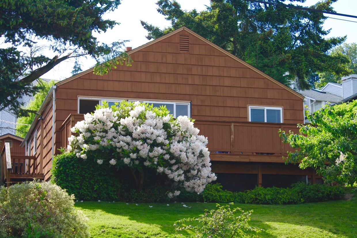 Primary Photo - Updated 2 Bedroom Magnolia House