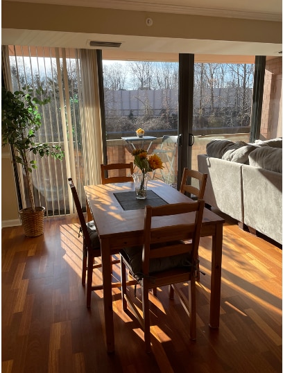 Sunny dining - 2230 George C Marshall Dr