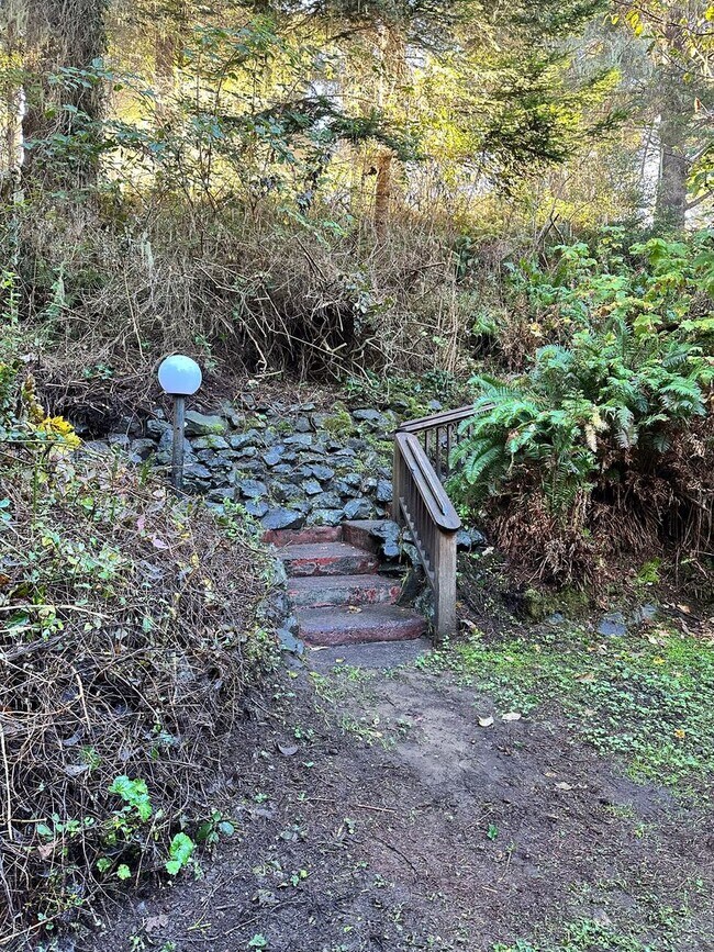 Foto del edificio - Redwood Cabin Retreat Steps from the Pacific Ocean, Moonstone Beach, CA