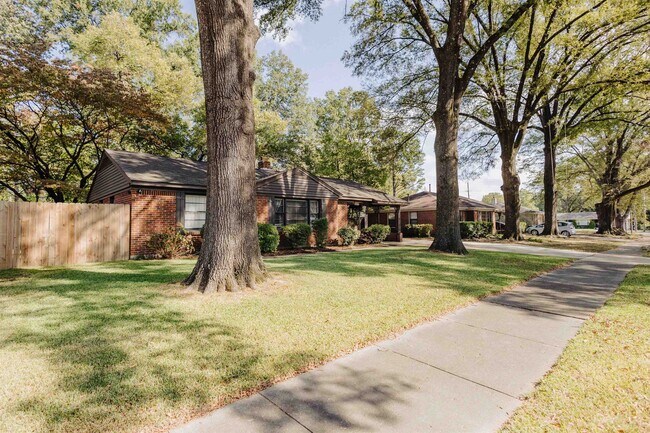 Building Photo - 4960 Hummingbird Ln