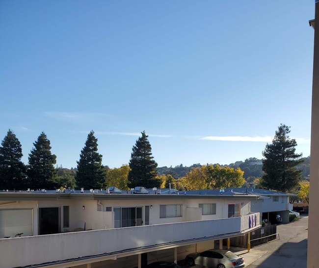 GARDEN View - 2010 Trousdale Dr