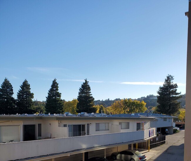 Vista del JARDÍN - 2010 Trousdale Dr