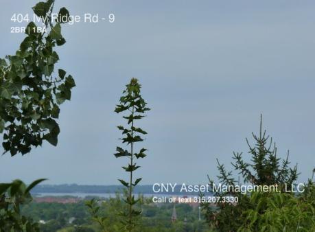 Building Photo - 404 Ivy Ridge Rd