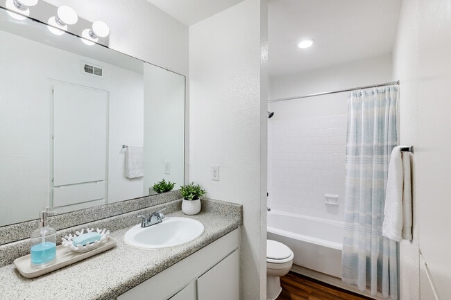 Baño tipo estudio - 507 pies cuadrados - Walnut Terrace Apartments