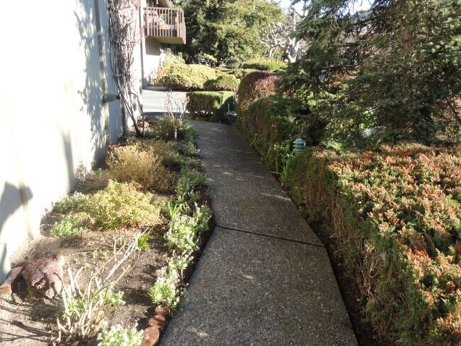 Foto del edificio - Carmel Valley Condo