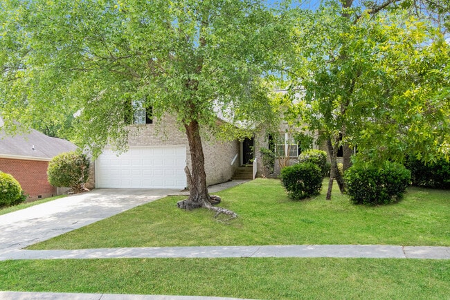 Building Photo - 220 Turtle Creek Dr