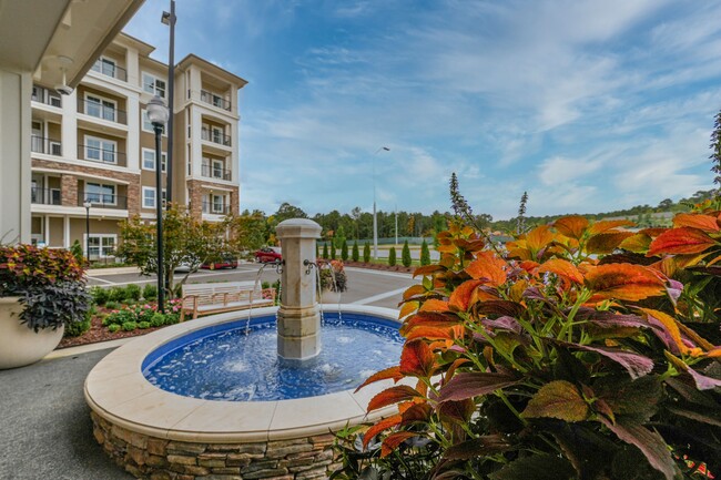 Foto del edificio - The Cambridge at Brier Creek- 55+