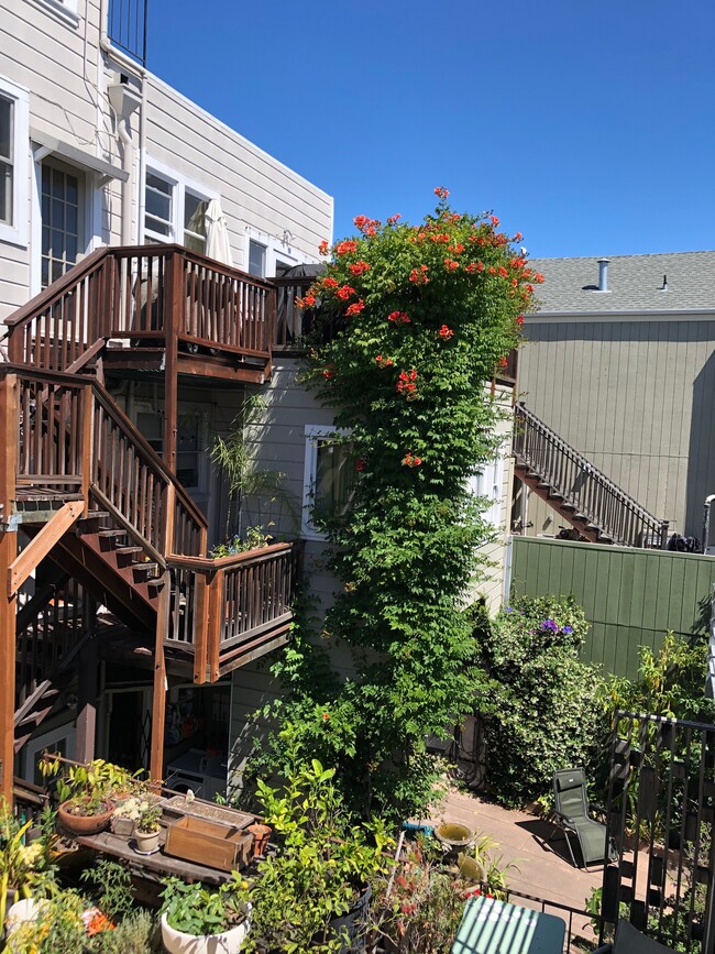 Rear stairs - 325 Potrero Ave