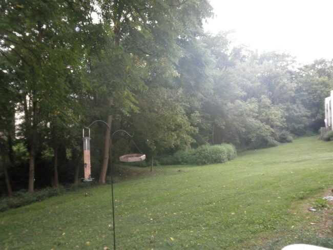 Building Photo - Mariemont Woods