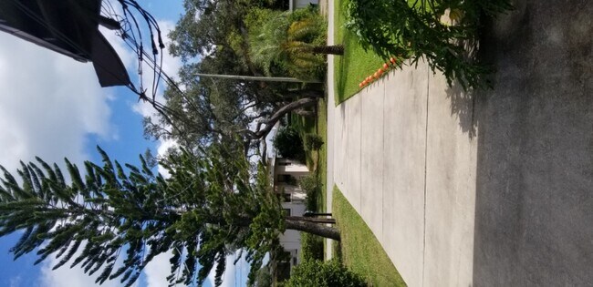 Foto del edificio - 1485 N Peninsula Dr