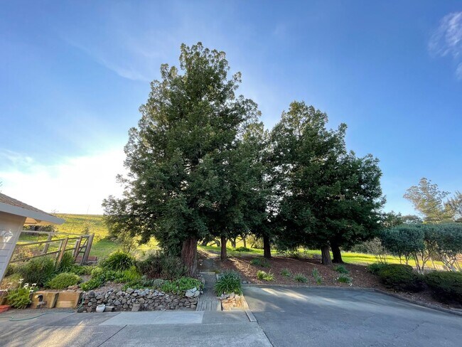 Foto del edificio - 1355 Aggesen Creek Ln