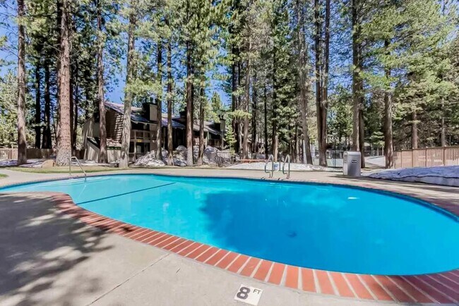 Community Pool - 2251 Meridian Blvd