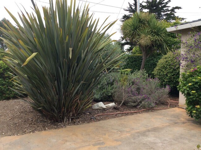 Building Photo - Aptos