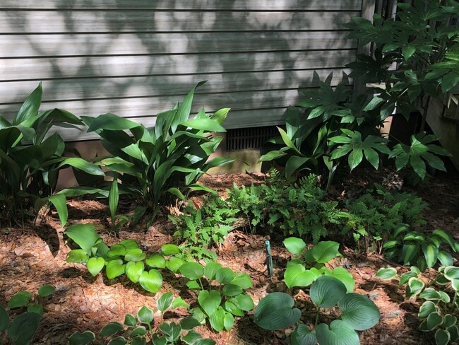 Landscape included twice a month - 3606 Walkers Ferry Ln