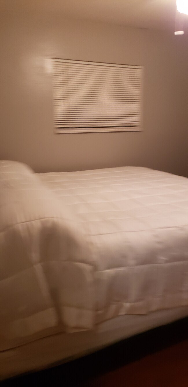 Photo - 157 Perthshire Rd House