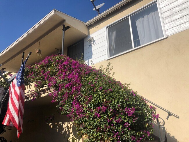 Foto del edificio - 209 W Palmer Ave