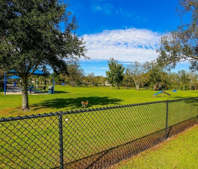 The Barber Dog Park is a popular destination for pet owners