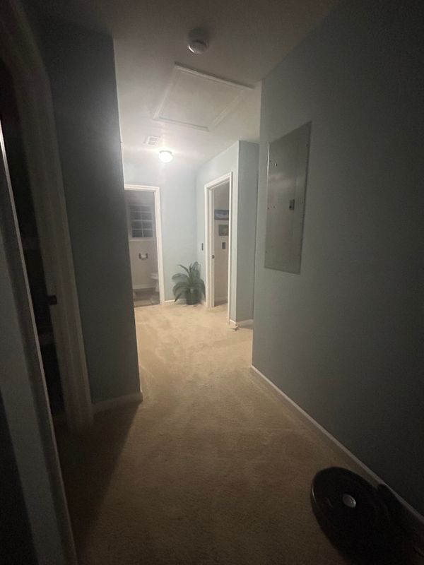 Foto del edificio - 251 Margaret St