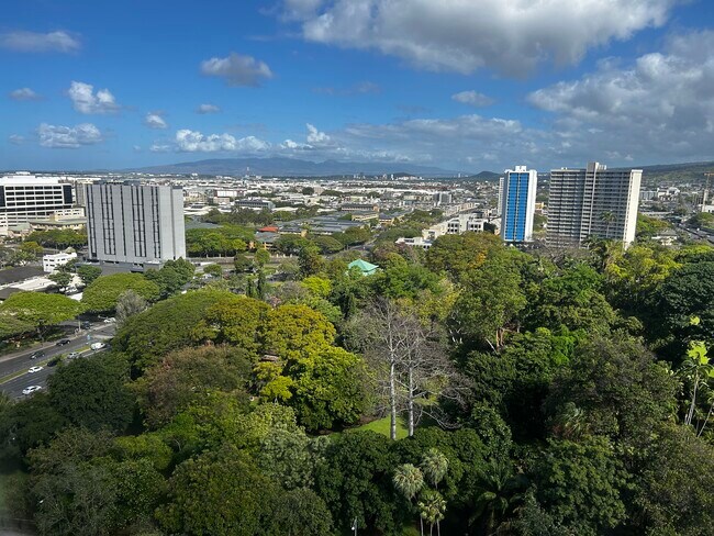 View from living room - 1515 Nuuanu Ave