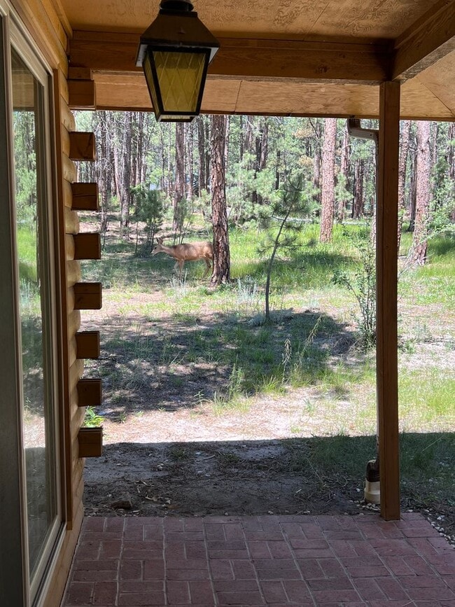 Foto del edificio - NEWLY REMODELED FARMHOUSE STYLE HOME ON THE 13TH HOLE OF THE WOODMOOR GOLF COURSE!!!!