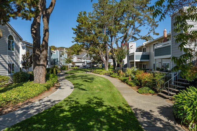 Alternar - Marion Park