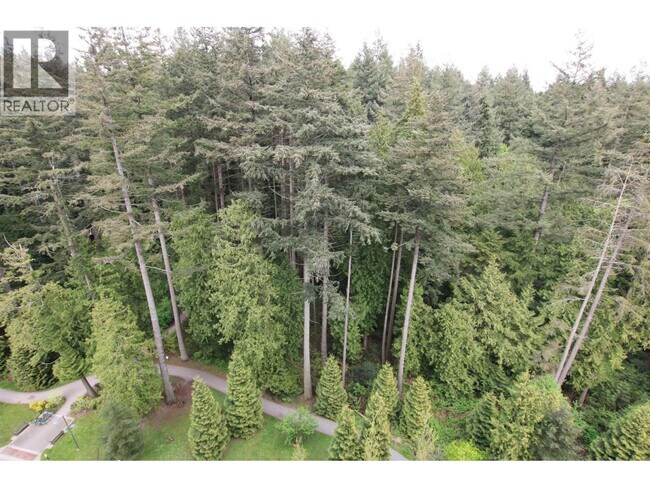 Photo du bâtiment - 3487 Binning Rd