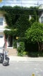 Primary Photo - 64 Hano St