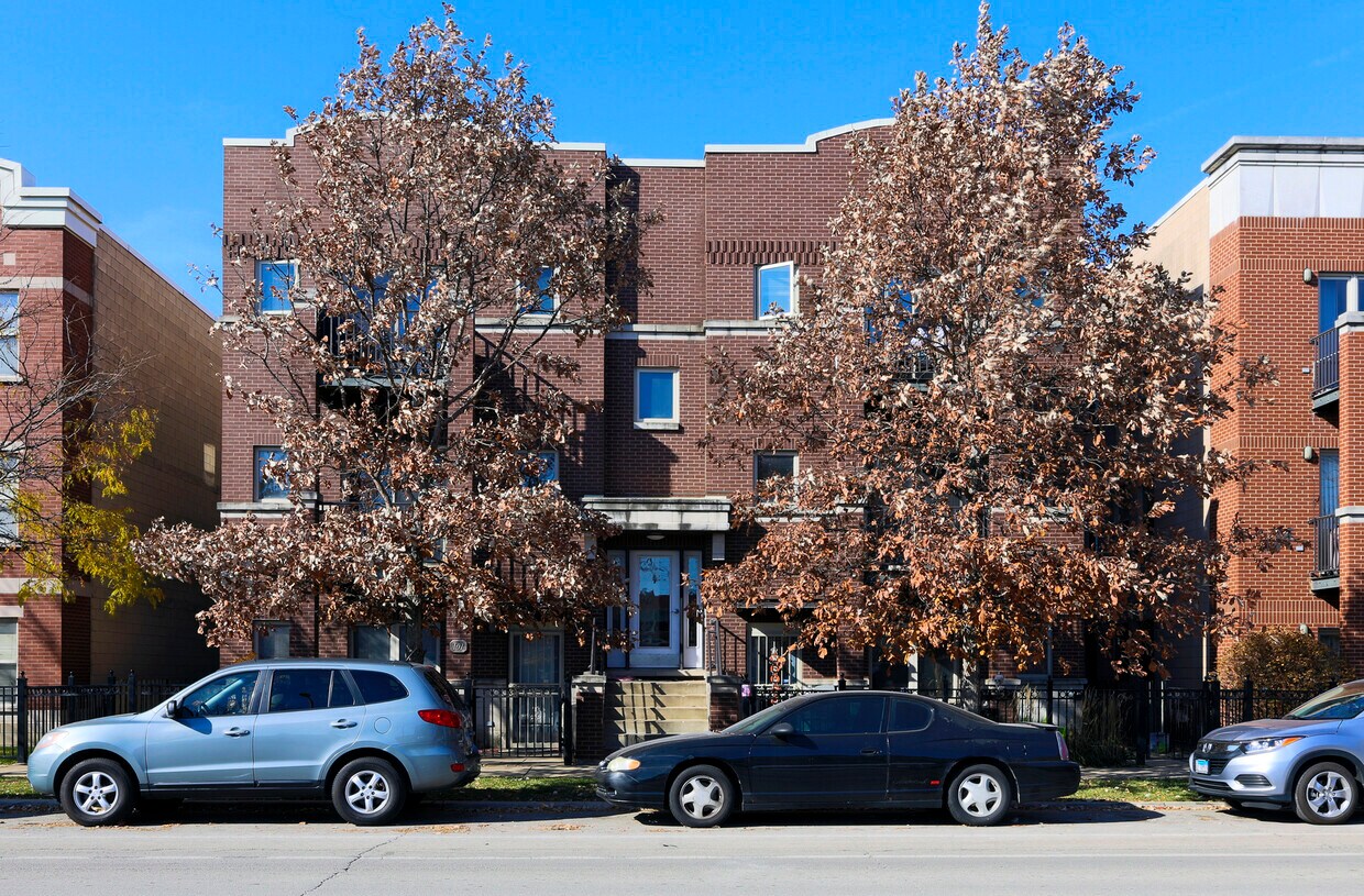 Primary Photo - 1258 S Blue Island Ave