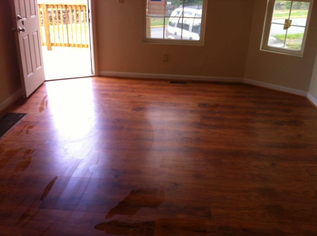 Primary Photo - 147 Holland Ave