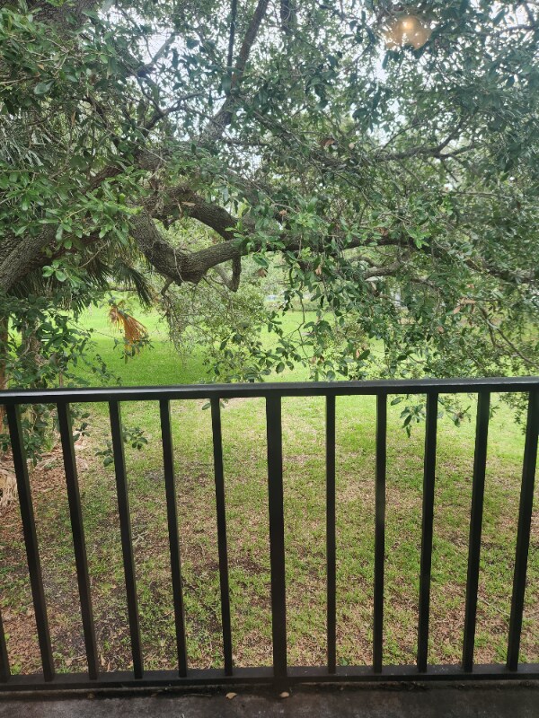 Foto principal - 2216 Flower Tree Cir