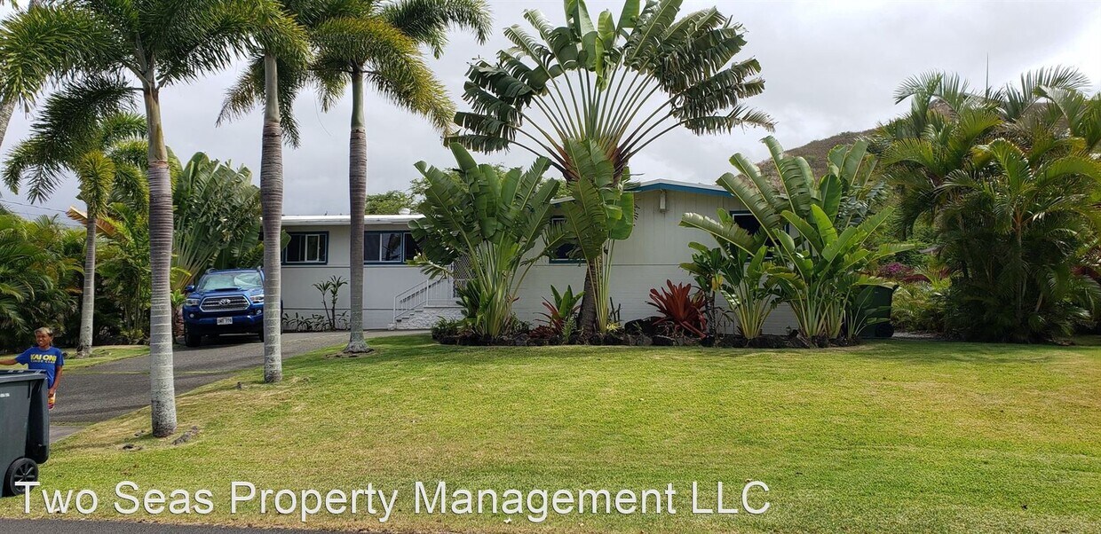 Primary Photo - 3 br, 2 bath House - 313 Ilimano Street