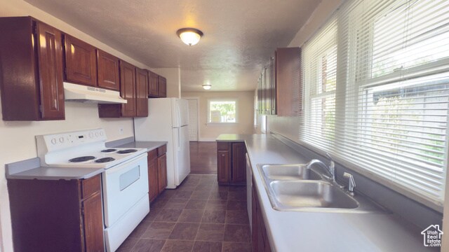 Foto del edificio - 452 Blaine Ave