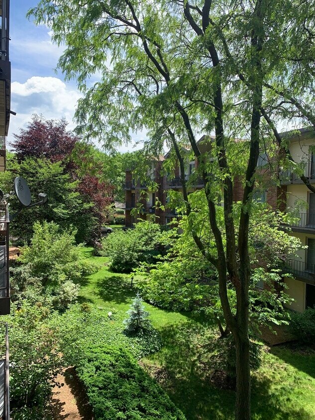 6960 N Bell Ave Unit 308, Chicago, IL 60645 Condo for Rent in Chicago