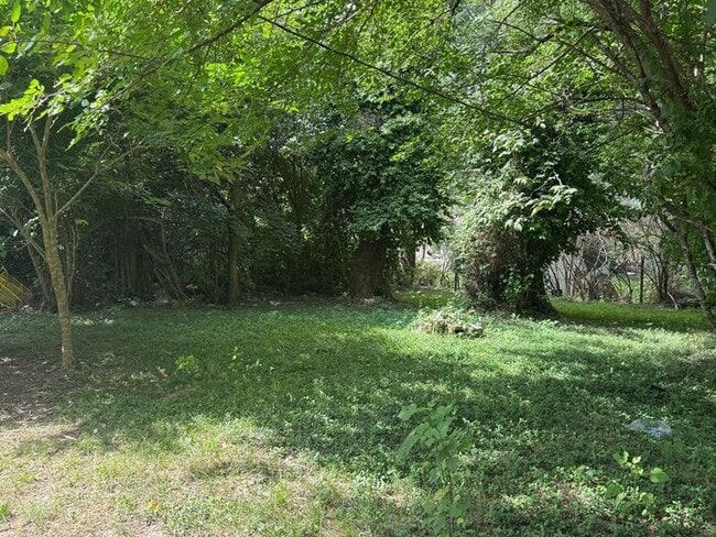 Photo - Newly Renovated Three Bed/One Bath House