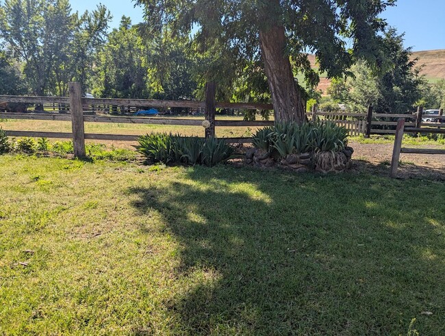 Building Photo - Quiet Sweetwater house on with a huge deck...