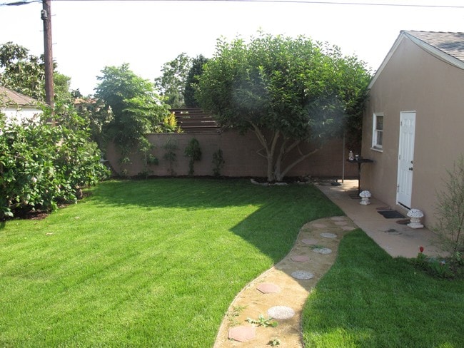 Backyard - 10804 Ashby Ave