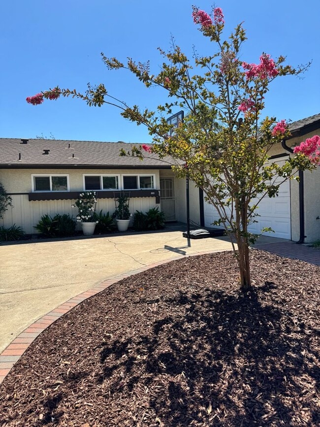 Building Photo - 8811 Sovereign Rd