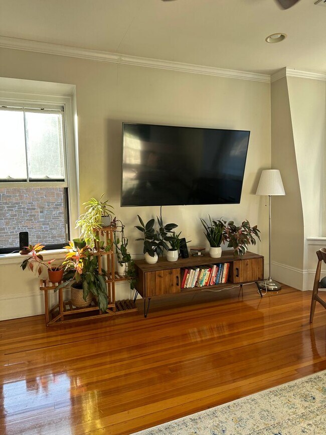 Foto del edificio - Somerville 1 Bed Available Nov. 1st - In u...