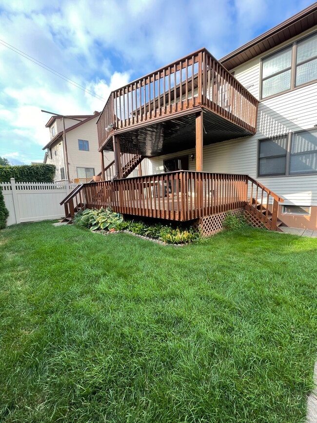 Backyard - 26 Scudder St