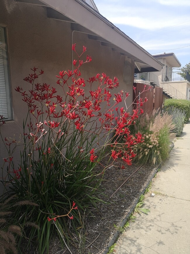 Building Photo - 4632 Canoga St