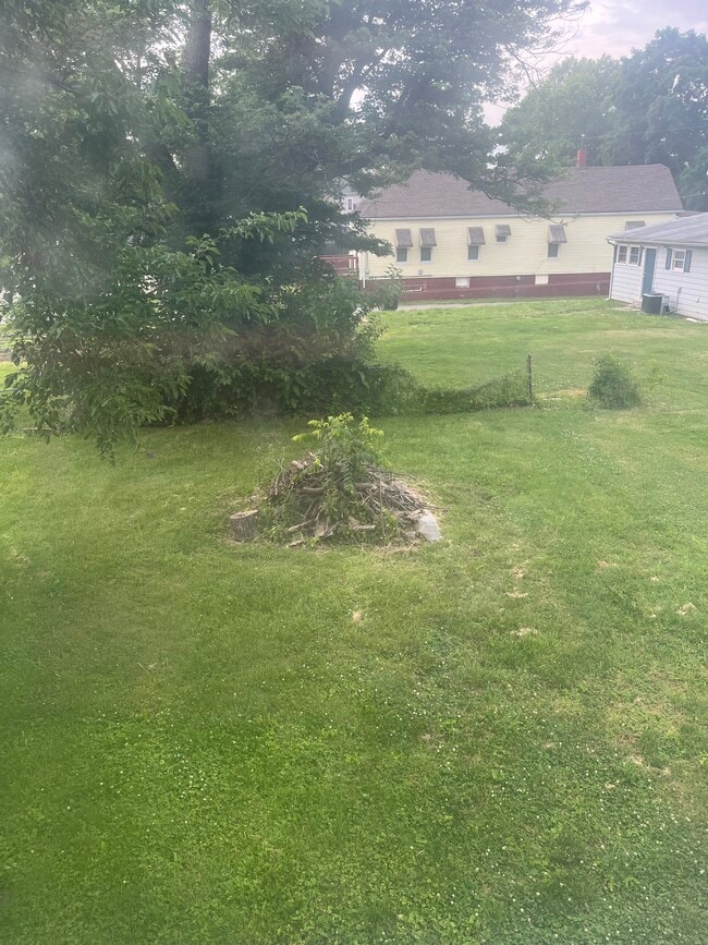 Rear yard - 312 Galt St