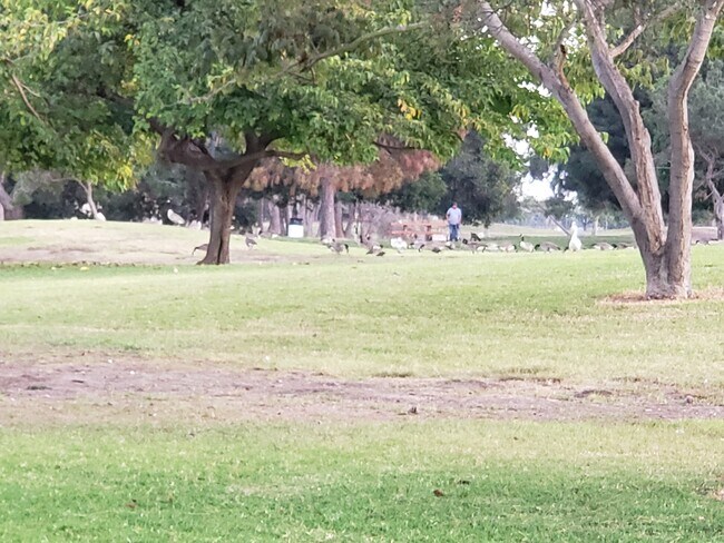 Building Photo - 819 E 120th St