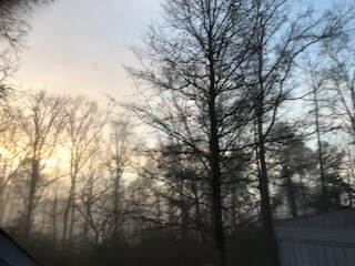 Amazing morning views from the upstairs bedroom window. - 3647 Belmont Rd