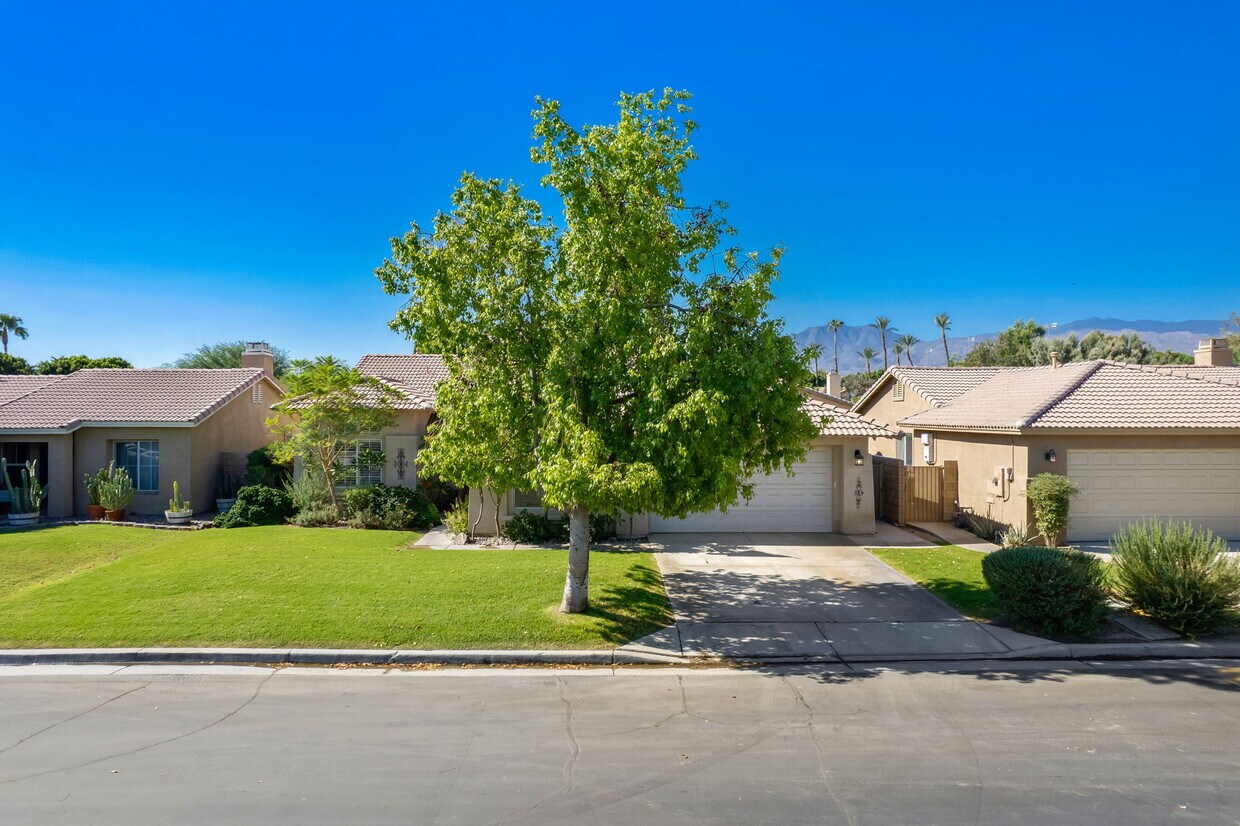 Primary Photo - 79309 Paseo del Rey