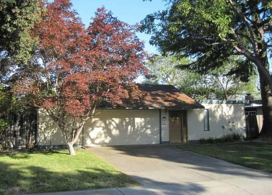 Primary Photo - 805 Pear Ave