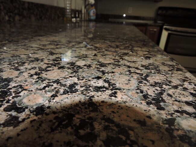 Foto del edificio - 213 Southgate Dr