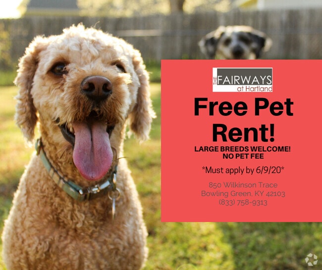 Apartments for Rent in Bowling Green KY