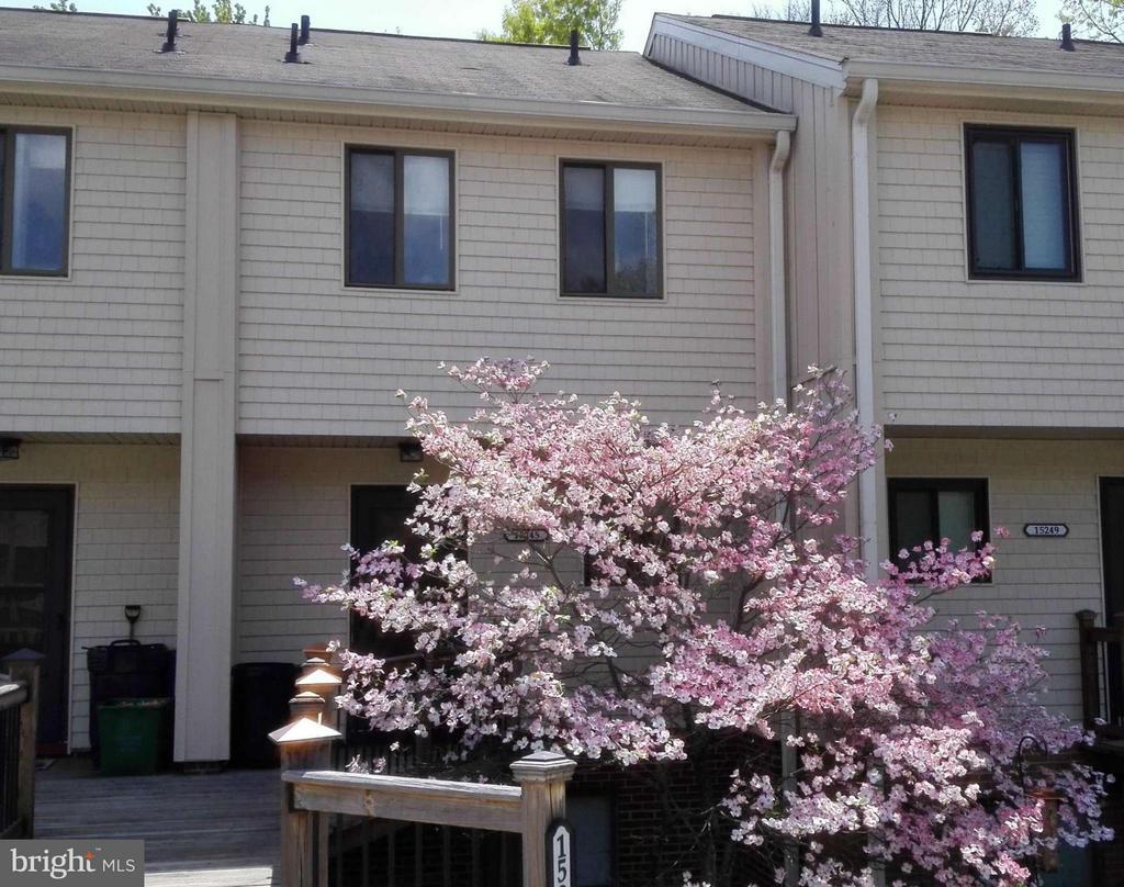 Foto principal - 15245 Coachman Terrace