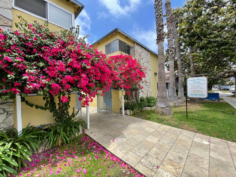 Photo - 3753 S Barrington Ave (Los Angeles, CA)